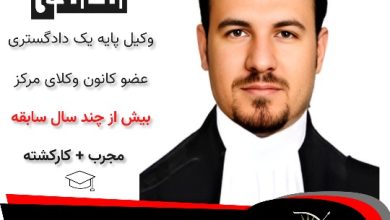 مجتبی محمدی