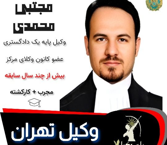 مجتبی محمدی