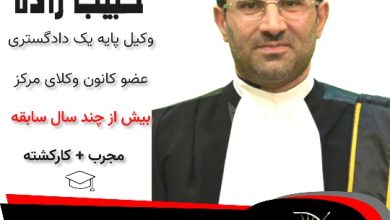 بهنام حبیب زاده