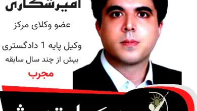 امیرعباس امیرشکاری