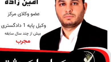 مجتبی امین‌زاده