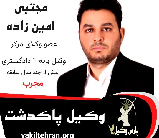 مجتبی امین‌زاده