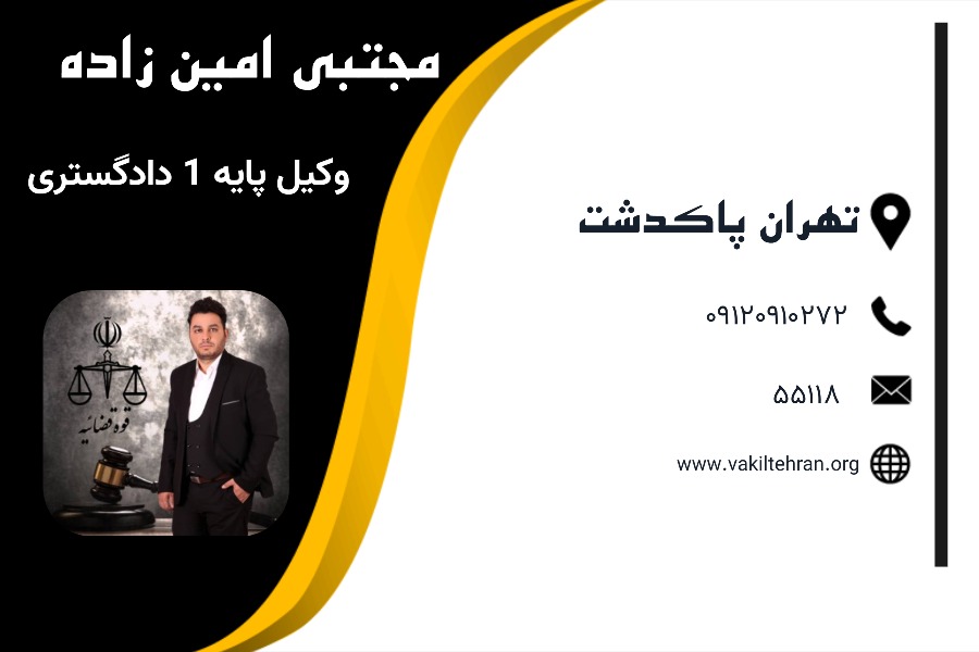 وکیل پاکدشت مجتبی امین‌زاده،