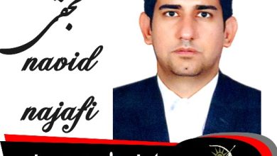 نوید نجفی وکیل شرق تهران